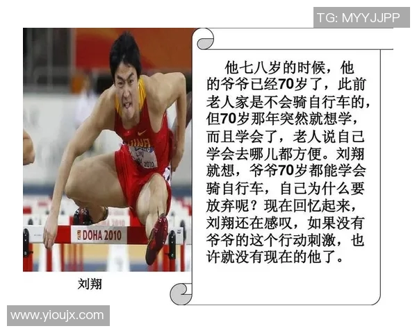 体育明星属相排名揭示运动员性格与成就的深层联系与影响分析